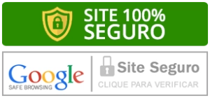 site-seguro-google.png